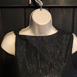 Silver skirt with silver threaded skirt